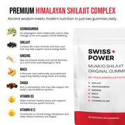 Mumijo Shilajit Original